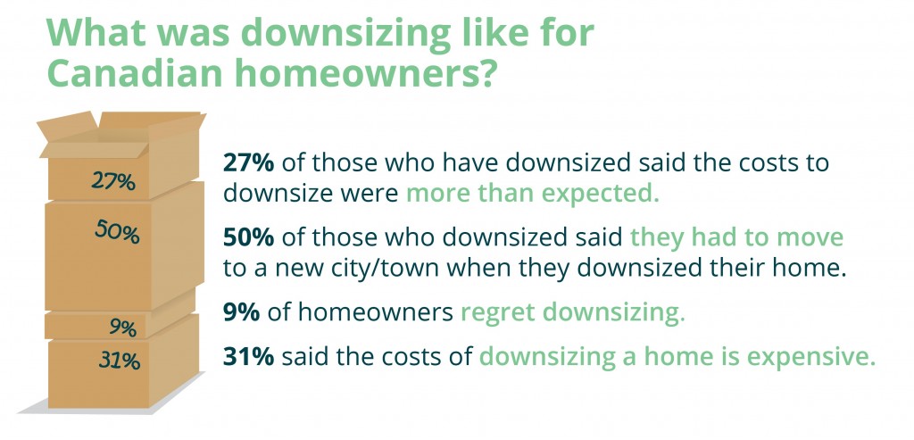 downsize downsides poster